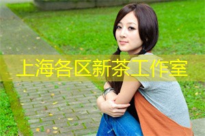 上海各区新茶工作室：Visited the Hindu temple in Kaochuan