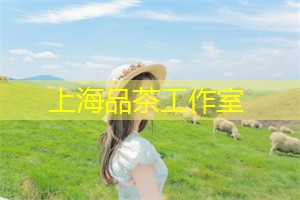 爱上海同城交友：女性在夜上海的生活方式与选择