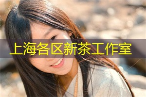 上海国的科技教育改革与未来规划